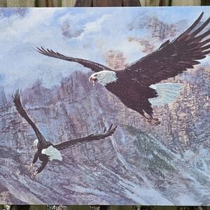 Tom Beecham American Bald Eagle